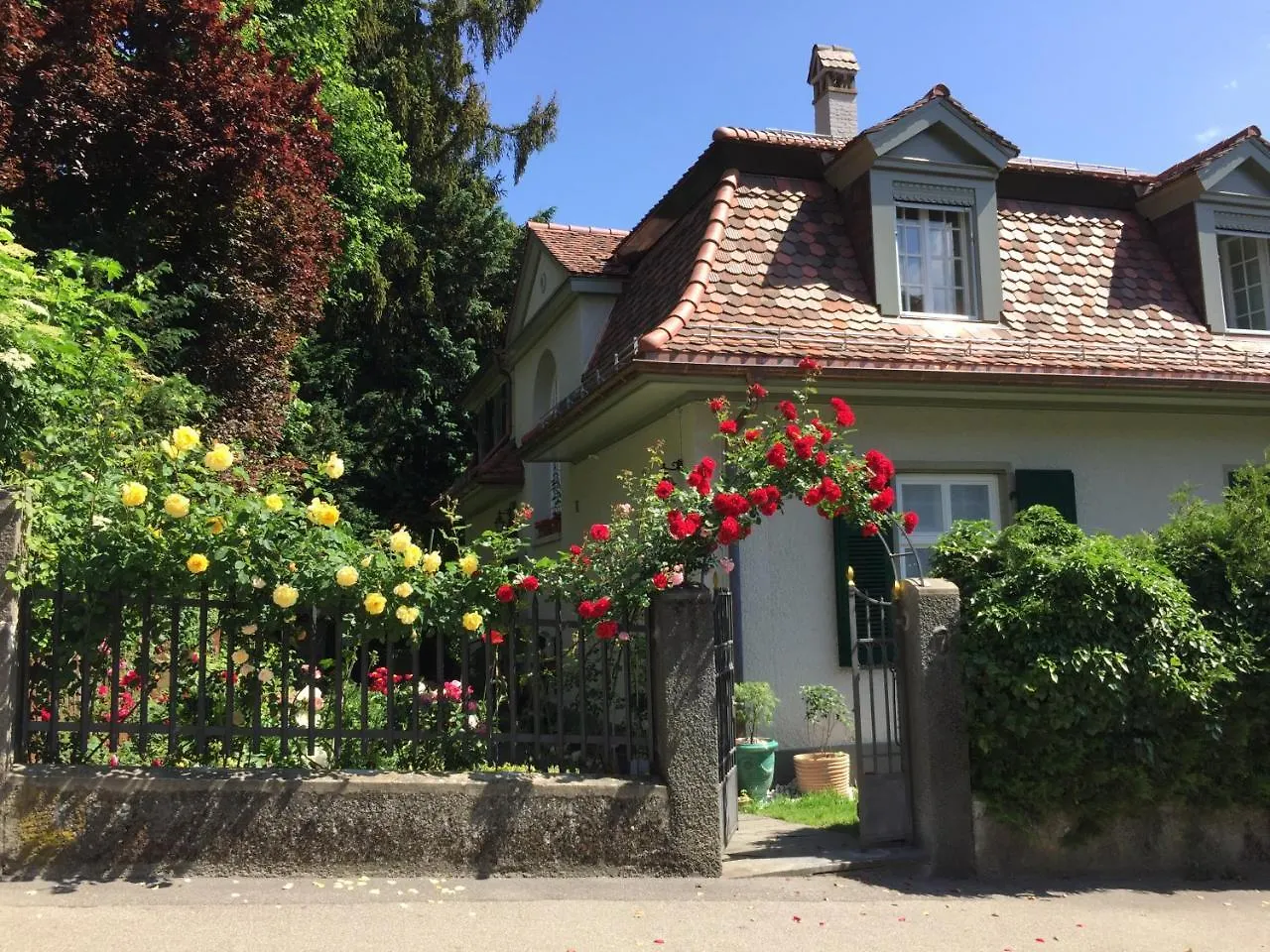 Bed And Breakfast Wildrose Bern
